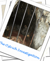 Avon Paranormal Team - The Ostrich Inn Investigation