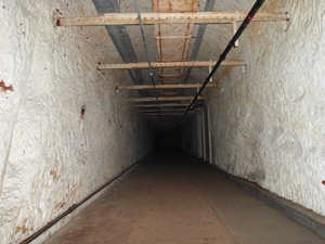 Avon Paranormal Team - Drakelow Tunnels